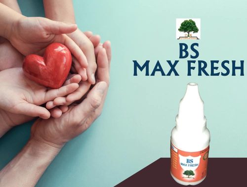 BS-Max-Fresh_main
